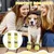HausPets Juego de 4 botas reflectantes antideslizantes para perros