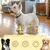 HausPets Juego de 4 botas reflectantes antideslizantes para perros