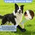 HausPets Botas curativas antideslizantes y antilamido para perros HausPets Botas curativas antideslizantes y antilamido para perros