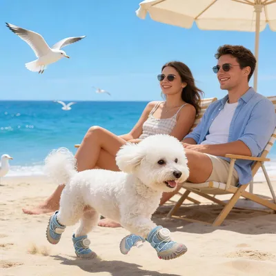 HausPets Botas para perros antideslizantes, reflectantes e impermeables HausPets Botas para perros antideslizantes, reflectantes e impermeables