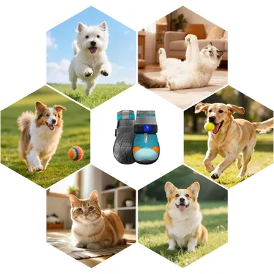 HausPets Zapatos LED ajustables y antideslizantes gatos/cachorros, 5,8 cm