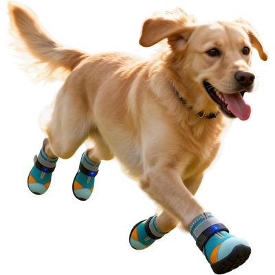 HausPets Chaussures LED Chat Chiot Antidérapantes Réglables 5.8cm