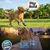HausPets Zapatos LED ajustables y antideslizantes gatos/cachorros, 5,8 cm