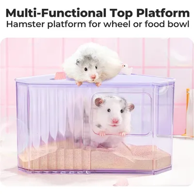 HausPets bac sable hamster haut anti-projections violet HausPets bac sable hamster haut anti-projections violet
