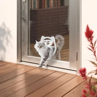 HausPets Puerta para gatos con mosquitera - 29x22cm, fácil instalación