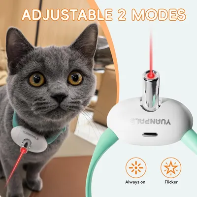 HausPets Collier Laser Chat Interactif Réglable USB-C 2 Modes