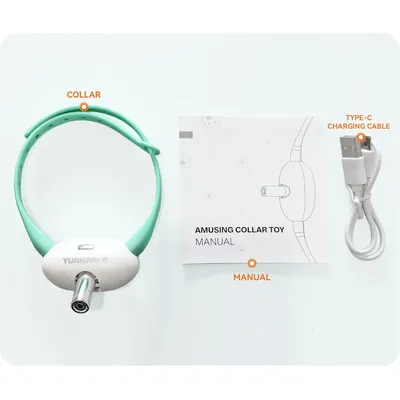 HausPets Collier Laser Chat Interactif Réglable USB-C 2 Modes