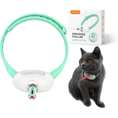 HausPets Collier Laser Chat Interactif Réglable USB-C 2 Modes
