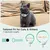 HausPets Collier Laser Chat Interactif Réglable USB-C 2 Modes