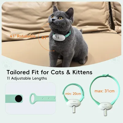HausPets Collier Laser Chat Interactif Réglable USB-C 2 Modes