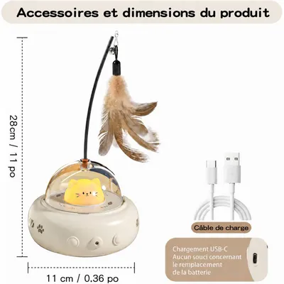 HausPets Jouet Chat Interactif Laser Plume Automatique Intérieur
