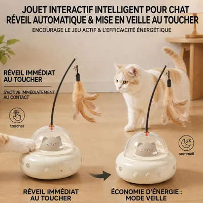 HausPets Jouet Chat Interactif Laser Plume Automatique Intérieur