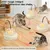 HausPets Jouet Chat Interactif Laser Plume Automatique Intérieur