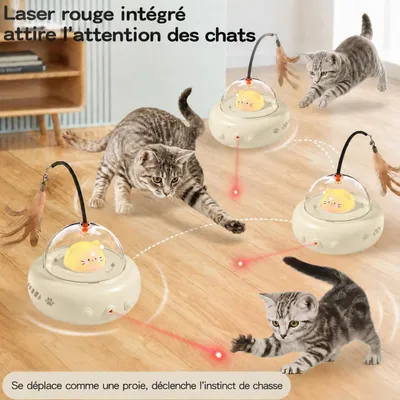 HausPets Jouet Chat Interactif Laser Plume Automatique Intérieur