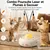 HausPets Jouet Chat Interactif Laser Plume Automatique Intérieur