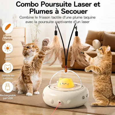HausPets Jouet Chat Interactif Laser Plume Automatique Intérieur