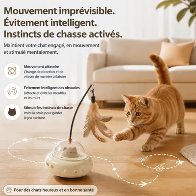 HausPets Jouet Chat Interactif Laser Plume Automatique Intérieur