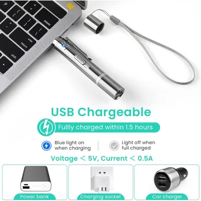HausPets Jouet Laser Chat Chien USB 3en1 5 Motifs Interactif