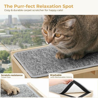 HausPets Poste rascador madera maciza ventosas sisal ventana Pecute, 15 kg