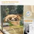 HausPets Poste rascador madera maciza ventosas sisal ventana Pecute, 15 kg HausPets Poste rascador madera maciza ventosas sisal ventana Pecute, 15 kg
