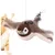 HausPets Vogel Spielzeug Katze wiederaufladbar USB Flügelschlag HausPets Vogel Spielzeug Katze wiederaufladbar USB Flügelschlag