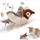 Type : oiseau simulateur