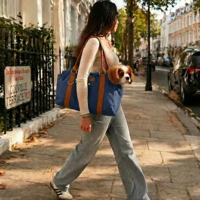 Tails of Glory Jane Bag Bleu