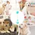 HausPets Jouet Ventouse Corde Chien - Multifonction, Caoutchouc HausPets Jouet Ventouse Corde Chien - Multifonction, Caoutchouc