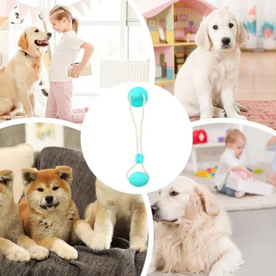 HausPets Jouet Ventouse Corde Chien - Multifonction, Caoutchouc HausPets Jouet Ventouse Corde Chien - Multifonction, Caoutchouc