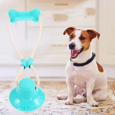 HausPets Jouet Mâcher Chien - Ventouse, Antidestructeur, Sûr HausPets Jouet Mâcher Chien - Ventouse, Antidestructeur, Sûr