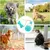 HausPets Jouet Mâcher Chien - Ventouse, Antidestructeur, Sûr HausPets Jouet Mâcher Chien - Ventouse, Antidestructeur, Sûr