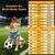 Hund Fußballtrikot ärmellos atmungsaktiv Mesh Sommer - France Hund Fußballtrikot ärmellos atmungsaktiv Mesh Sommer - France