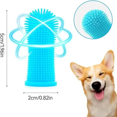 HausPets Lot 6 Brosses Dents Chien Chat Silicone Souple 360° Doigtier