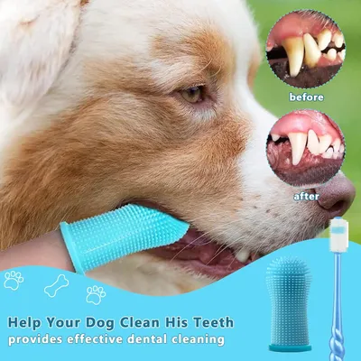 HausPets 5pcs Brosse Dent Chien Chat Silicone 360° Douce Doigtier HausPets 5pcs Brosse Dent Chien Chat Silicone 360° Douce Doigtier