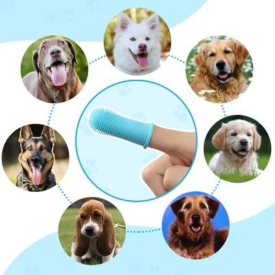 HausPets 5pcs Brosse Dent Chien Chat Silicone 360° Douce Doigtier HausPets 5pcs Brosse Dent Chien Chat Silicone 360° Douce Doigtier