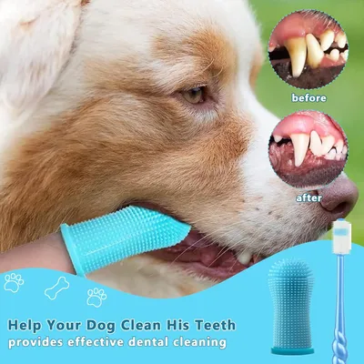 HausPets Cepillo dientes silicona perros gatos, 5 unidades, 360°, suave