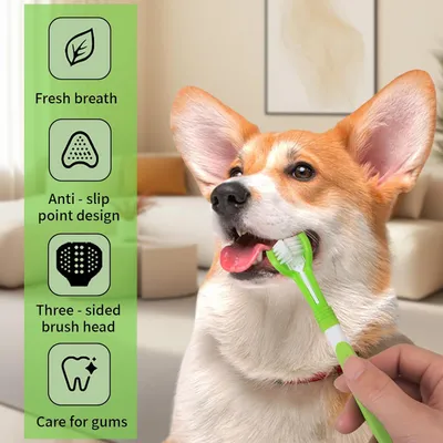 HausPets Kit 3pcs Brosse Dents Chien Dentifrice Nylon Anti Tartre HausPets Kit 3pcs Brosse Dents Chien Dentifrice Nylon Anti Tartre