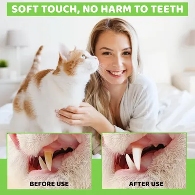 HausPets Kit 3pcs Brosse Dents Chien Dentifrice Nylon Anti Tartre HausPets Kit 3pcs Brosse Dents Chien Dentifrice Nylon Anti Tartre