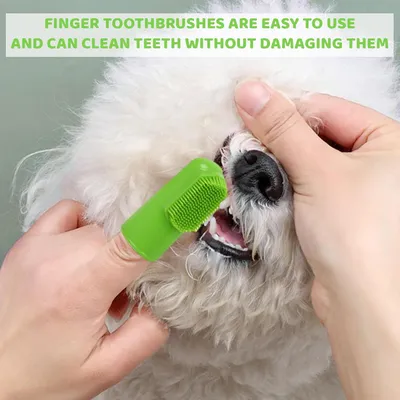 HausPets Kit 3pcs Brosse Dents Chien Dentifrice Nylon Anti Tartre HausPets Kit 3pcs Brosse Dents Chien Dentifrice Nylon Anti Tartre
