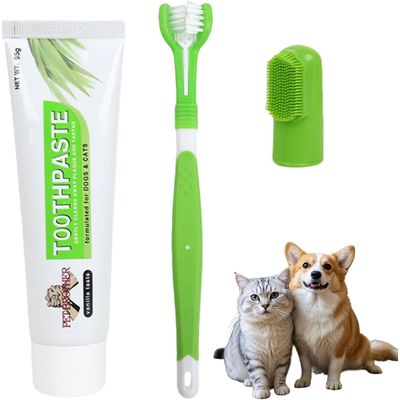 HausPets Kit 3pcs Brosse Dents Chien Dentifrice Nylon Anti Tartre