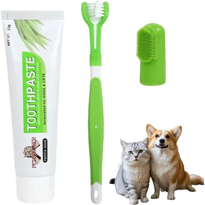 HausPets Kit 3pcs Brosse Dents Chien Dentifrice Nylon Anti Tartre HausPets Kit 3pcs Brosse Dents Chien Dentifrice Nylon Anti Tartre