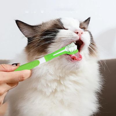 HausPets Kit cepillo dientes perros 3 piezas pasta dientes nailon