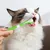 HausPets Kit cepillo dientes perros 3 piezas pasta dientes nailon