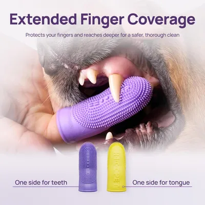 HausPets 2pcs Brosse Dent Chien Antidérapante Silicone Double Face HausPets 2pcs Brosse Dent Chien Antidérapante Silicone Double Face