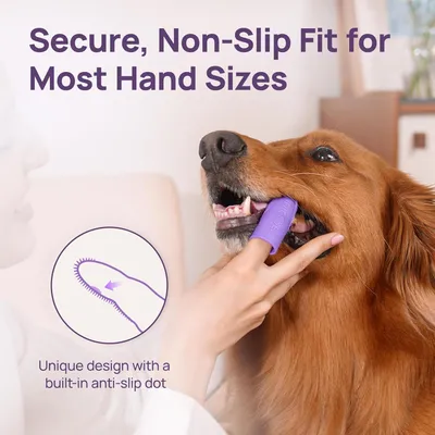 HausPets 2pcs Brosse Dent Chien Antidérapante Silicone Double Face HausPets 2pcs Brosse Dent Chien Antidérapante Silicone Double Face