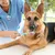 HausPets Lot 2 Brosses Dents Chien Chat Silicone Souple 360° Manche HausPets Lot 2 Brosses Dents Chien Chat Silicone Souple 360° Manche