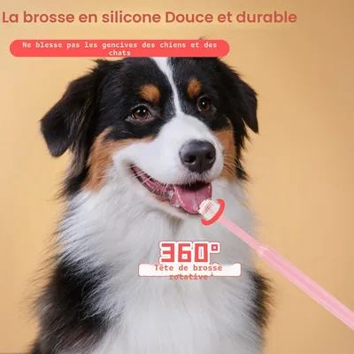 HausPets Lot 2 Brosses Dents Chien Chat Silicone Souple 360° Manche HausPets Lot 2 Brosses Dents Chien Chat Silicone Souple 360° Manche