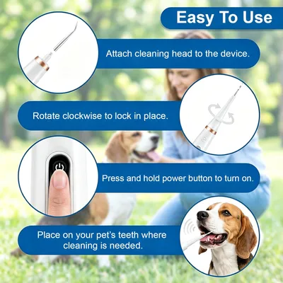 HausPets Nettoyeur Dentaire Ultrason Chien Chat 5 Modes LED IPX7 HausPets Nettoyeur Dentaire Ultrason Chien Chat 5 Modes LED IPX7