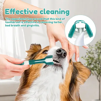 HausPets Kit 8pcs Brosses Dents Chien Chat 3 Têtes Doigtier Silicone
