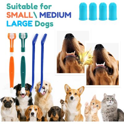 HausPets Kit cepillo dientes perros/gatos 8 piezas 3 cabezales cepillo